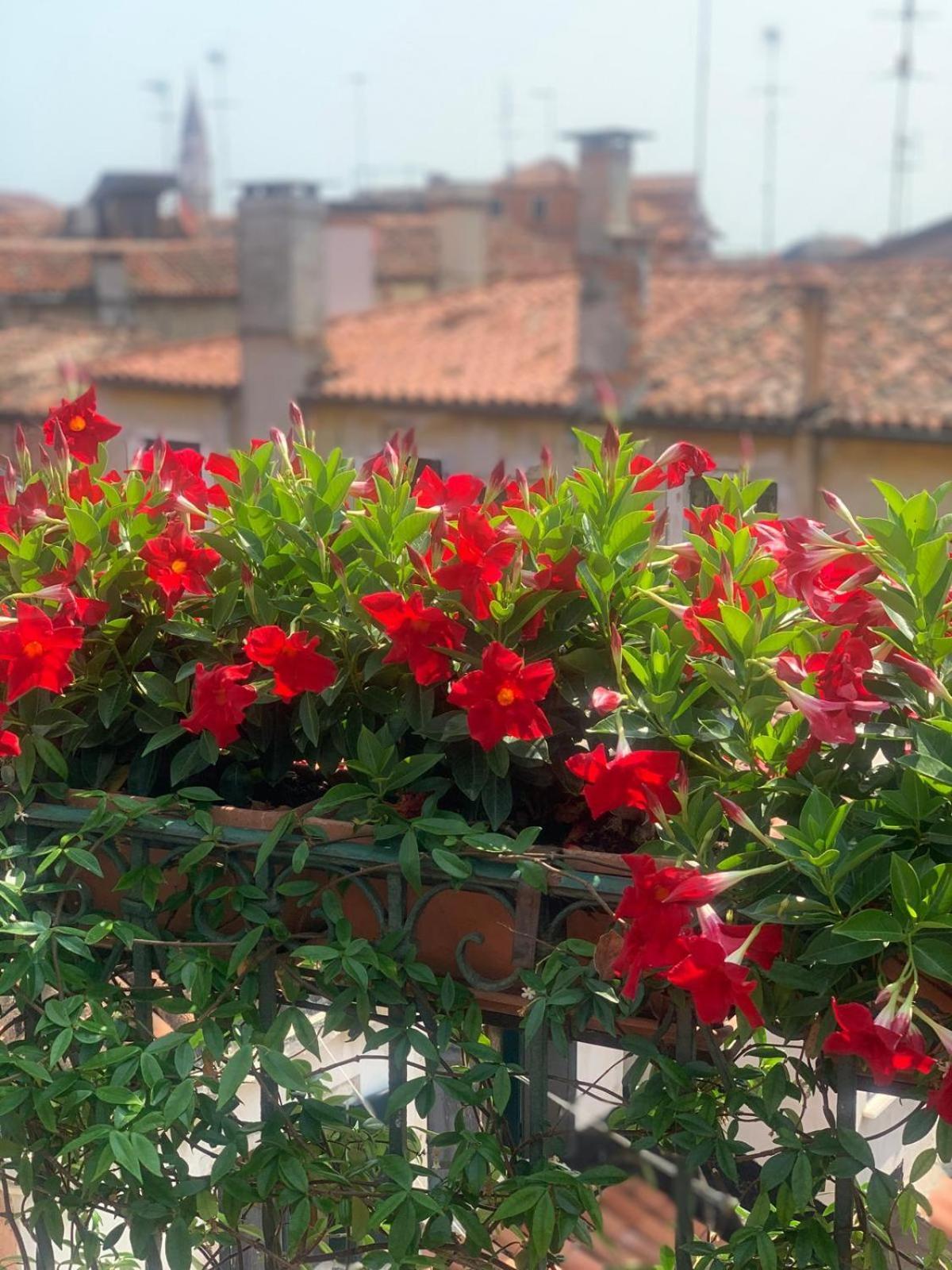 Elegant Terrace Near Piazza San Marco Last Floor No Lift Apartamento *